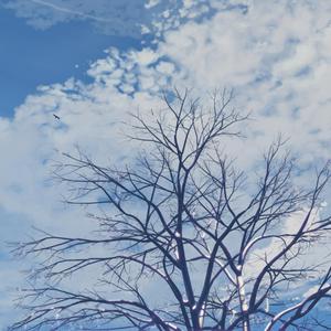 亚洲熟女乱综合一区二区动漫版
